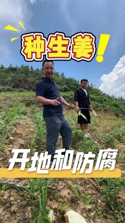 ݪֲ�������������ĵؿ�Ҫ�÷������Ŀ��ط�����ѡ��Ҳ�Ǻ���Ҫ��һ������ֹ�����������#����ݪֲ#ݪֲС����#ũҵ�����ƹ�#��ũ