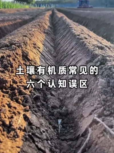 �����л��ʳ�����������֪���� #�����л��� #�л��� #�������� #ũҵݪֲ #ݪֲ��