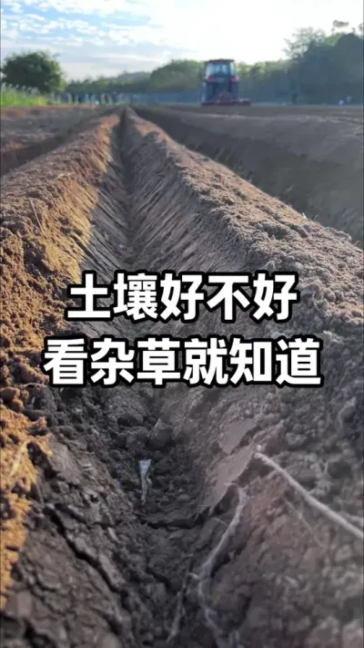 ������Ƿ�������Ӳݾ�֪�� #�������� #�������� #ũҵݪֲ #��ũݪֲ #ũҵ֪ʶ����