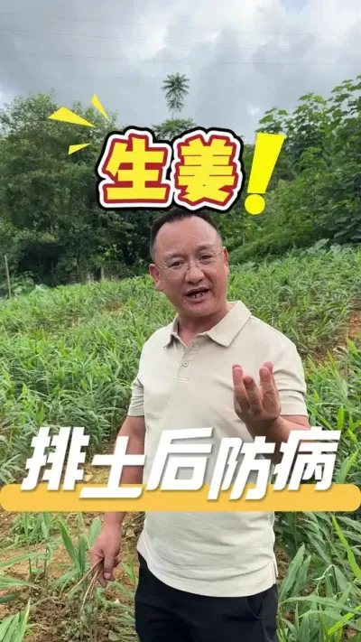 �����������Ժ������Ƿ���Ҷ�ӷ��ơ�Ҷ�ӹ�Ͳ��һ��Ҫ������Ե��ԭ�������еķ�ʸ�����𲡼���Ͷҽ��#ũҵ�����ƹ�#����ݪֲ#ݪֲС����#ݪֲ����