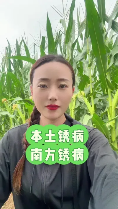 �����ⲡզ���� �÷���������ס�ɼ�Ъ#�����ⲡ #��ũ #������ũ #���׸߲�ݪֲ���� #����917