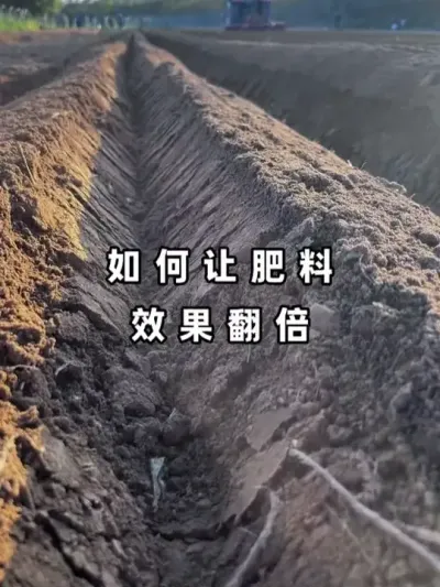 �����÷���Ч������#��������  #�л���  #΢����  #ũҵݪֲ  #�������� @��������