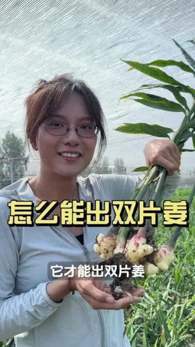 ������ô�Ż���˫Ƭ����#��ũ������2025 #������ѧũ�� #�����ػ��� #��ݪֲ #˫Ƭ��