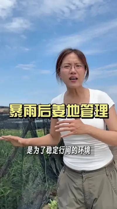 ����󽪵��������������ΪɶҪѹһ����ˮ����#��ũ������2025 #�����ػ��� #������ѧũ�� #��ݪֲ