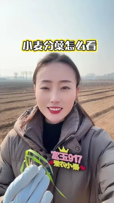 С�������ô�� #���� #����Ʒ��������� #��ũ #����917 #������ũ��ũ