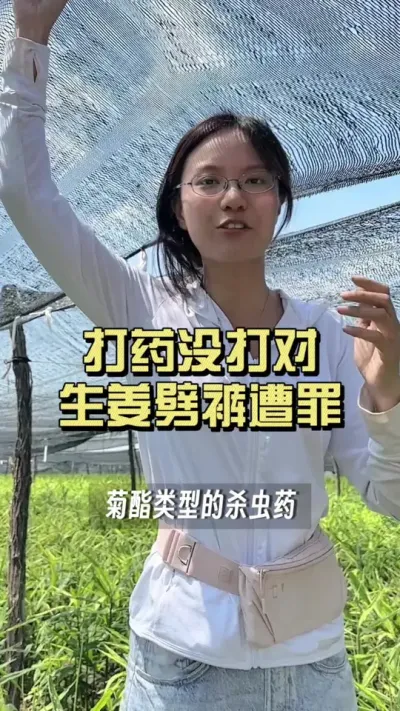 �����Ӵ���������զ������#��ũ������2025 #������ѧũ�� #��ݪֲ