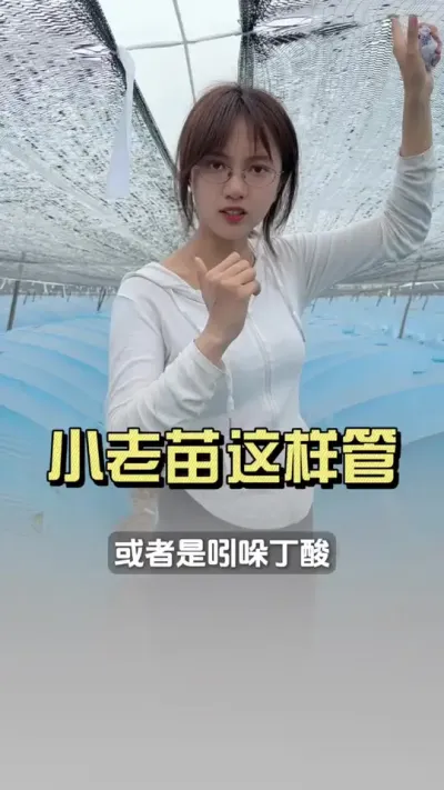 小老苗冲三水就见好！#新农人计划2025 #抖音助农扶农 #乡村生活家 #来抖音学农技 #大姜种植