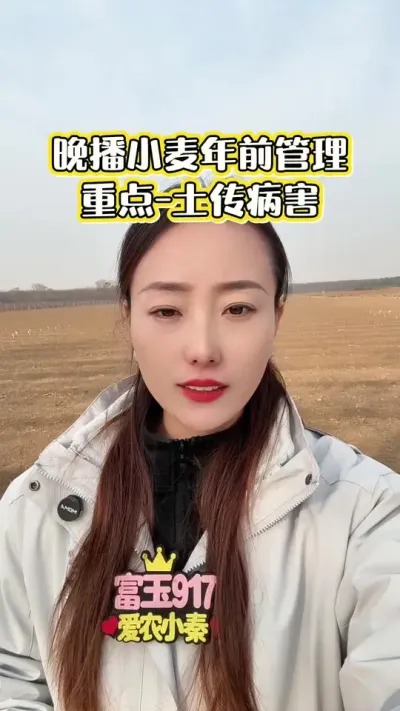 ��ǰС������ص� �����ɷ����������������������������صĵؿ����ܷ����վ�Ҫ������#��ũ #ݪֲ���� #�������� #С�� #����917