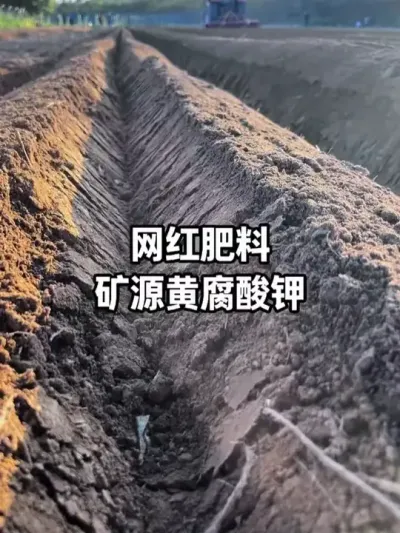 ��Դ�Ƹ���ز��������ҩ���������������е�&ldquo;�ð���&rdquo; #��Դ�Ƹ���� #�������� #ũҵݪֲ #������� #�ٸ�׳��