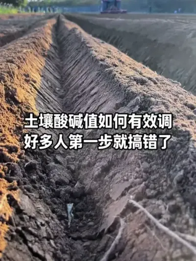 �������ϲ����PH��ģ��6��7.5֮�����������������������վͻ���Ӱ��#�������� #�������� #ũҵݪֲ #�����ữ #����ݪֲ