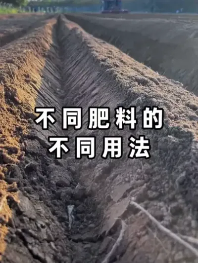 �����ö���  �ֵز�ʡ�� #�������� #����֪ʶ #ũҵݪֲ #����׳�� #��ũݪֲ