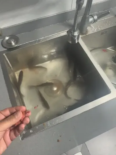 ����ںܺ� ���Գ��Ŵ���