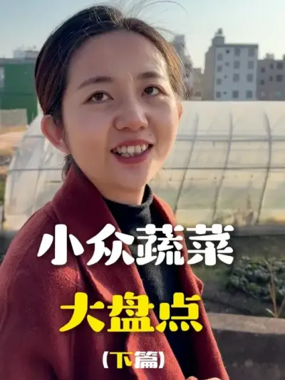 С���߲˴��̻����£� #С�� #�߲�ݪֲ #ũҵ #�����ʽ�¶ũҵ #ũ�ʻ���