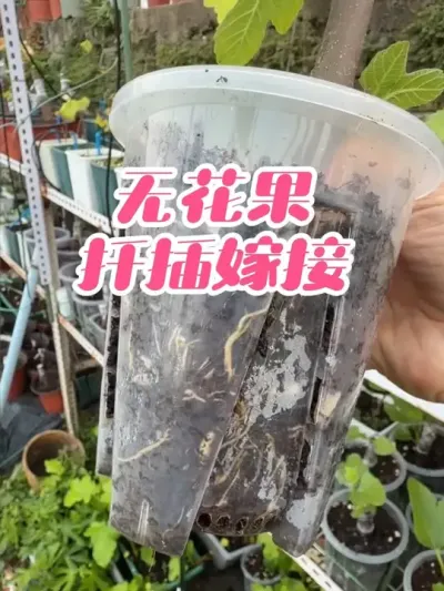 һ��С������Ǥ��ͼ޽���10����Ʒ�ֵ��޻�����������ʵ���޻�����������#�޻���Ǥ��#�޻����޽�#�޻�������