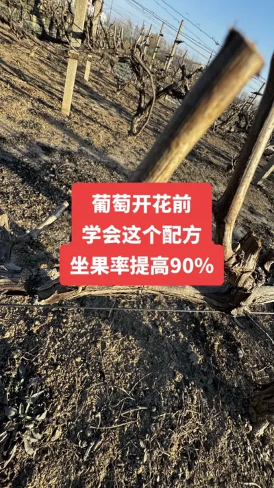 �����Ż�ǰ��ѧ������䷽�����������90%#�����Ż�#����ݪֲ#���Ѹ߲�