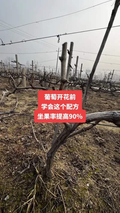 �����Ż�ǰ��ѧ������䷽�����������90%����#�����Ż�#����ݪֲ#���Ѹ߲�