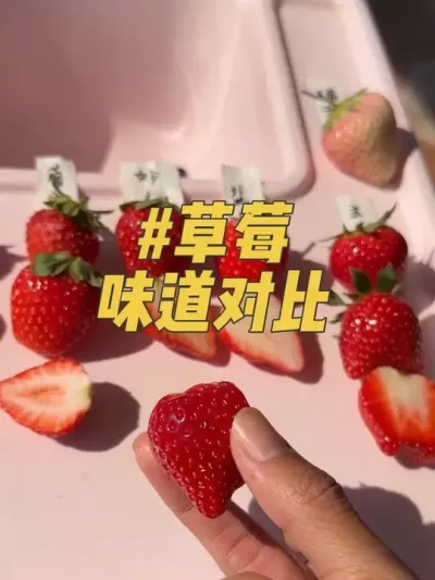 ���Ʒ�����Բ�ݮ�Գ�����ЩƷ�ֺó����Ƕȸ�����#���Բ�ݮ#�ֲ�ݮ #��ݮ��ժ