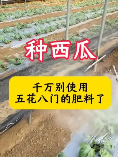 #����ݪֲ����  #���Ϲ���  #������ #���� #����ݪֲ