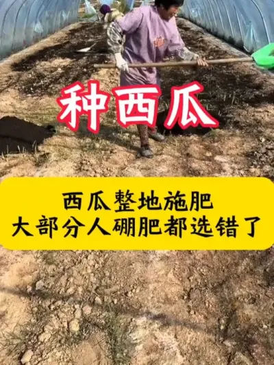 #����ݪֲ #����ݪֲ����  #������ #���� #���ϵ׷�