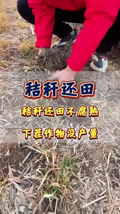 #�ոѻ���#ũҵݪֲ#�л���