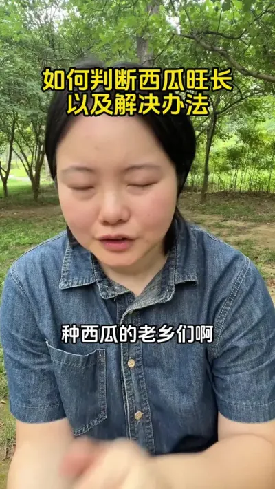#西瓜种植#西瓜高产#西瓜种植技术#西瓜高产