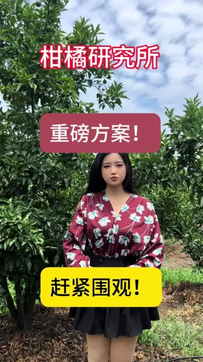 柑橘研究所膨果期重磅方案！赶紧围观！#三农 #果园管理 #柑橘种植 #服务三农
