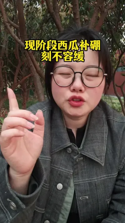 #西瓜施肥#西瓜种植#西瓜管理#西瓜种植技术#西瓜高产