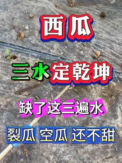 ������Ҫ������ˮ��ȱ��������ˮ���ѹ� �չ� ������ #����ݪֲ #������ #����ݪֲ #�������� #8424����