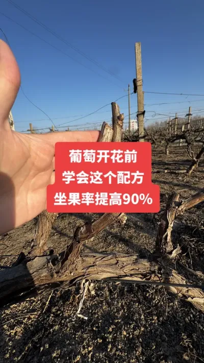 �����Ż�ǰ��ѧ������䷽�����������90%#�����Ż�#����ݪֲ#���Ѹ߲�