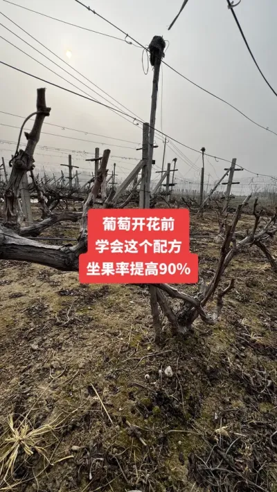 �����Ż�ǰ��ѧ������䷽�����������90%#�����Ż�#����ݪֲ#���Ѹ߲�