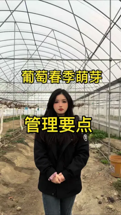 #���� #����ݪֲ#�Ĵ����� ���������˶���������ѿ��������ô�����ȫ�Ǹɻ�������æ�����ղ�������