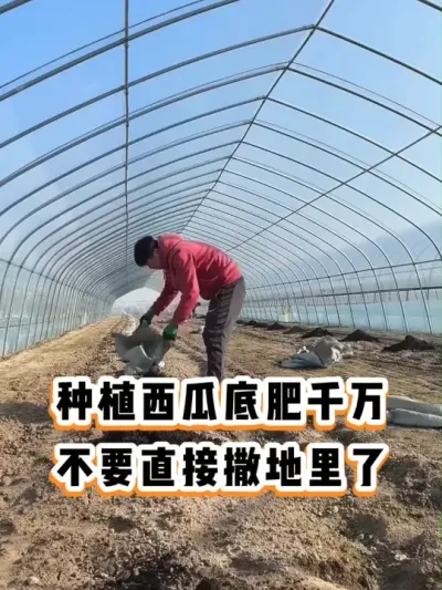 #����ݪֲ#��������#����#ݪֲ����#�׷�