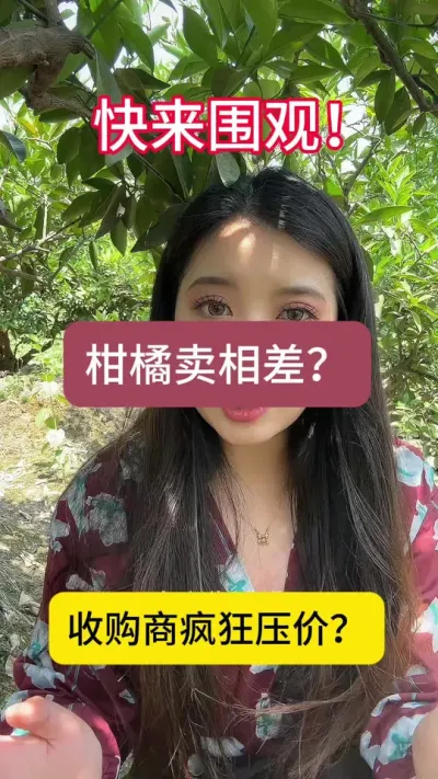 果子长得好，但是卖相太难看！价格起不来！怎么办！我有妙招哦#优质水果 #柑橘种植 #三农 #四川国光