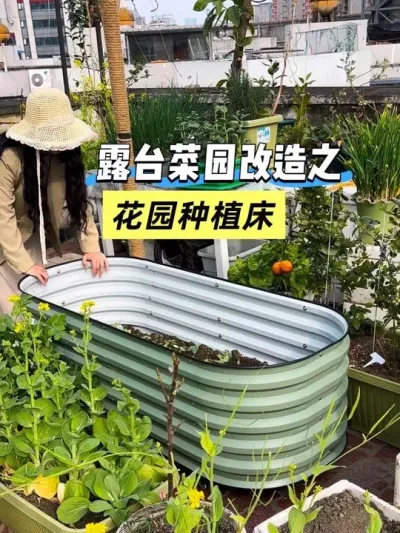 ��Ư���Ļ�԰ݪֲ����С¶̨��ֵ���? ׼������ĭ������̭���ˣ��ù���Ӧ�ö�֪����ĭ���ֲ��þ��˻����ĩ�Ѱɺ÷���#��̨�ֲ� #����ݪֲ�� #¶̨С��԰ #��ʵ���ķ������� #Vegega