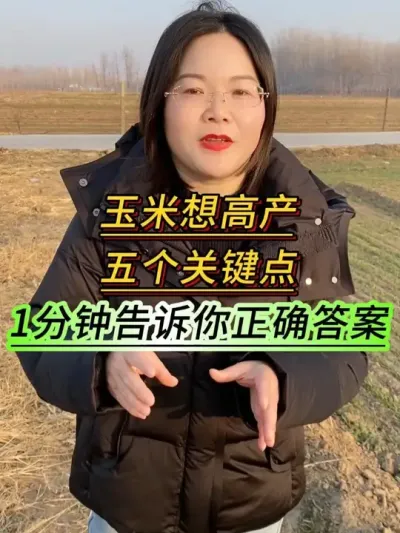 ������߲����Ҫ������1���Ӹ�����׼ȷ�յ�#��������#��ũ #ũҵݪֲ #֧����ũ������ũ #���׸߲�