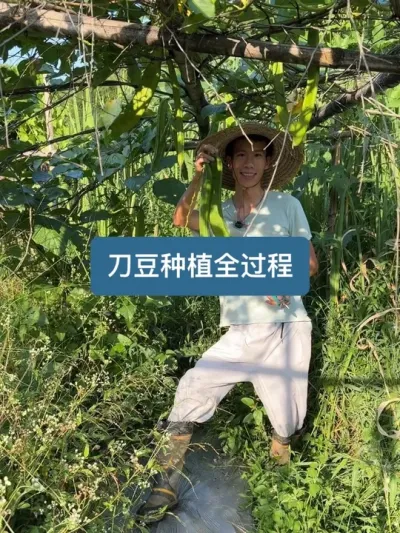 ��ʱһ����ʮ�����������ӵ�������������ݪֲȫ���� #�ҵ��������� #ݪֲС����