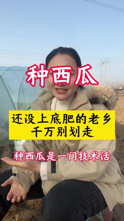 #������#����ݪֲ#����ݪֲ����#���Ϲ���#���ϵ׷�