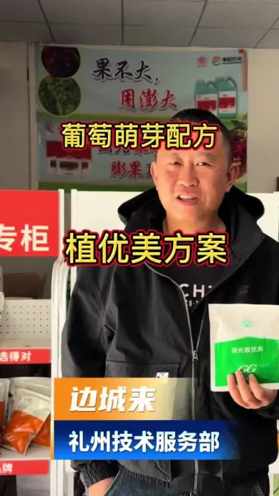 ������ѿ������ֲ����#����ֲ��С֪ʶ #����ݪֲ