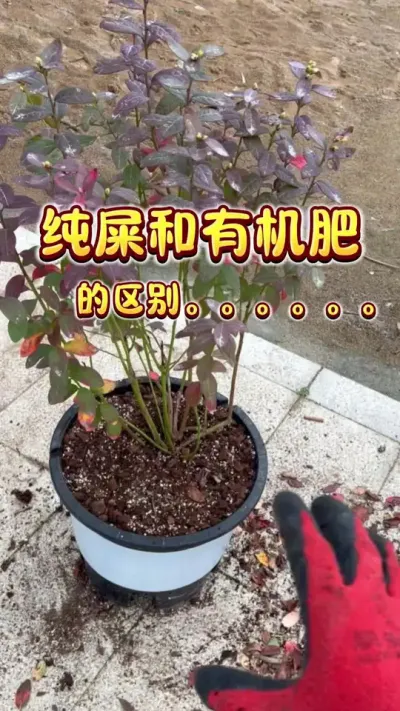 ��?#�л��� #��� #���Թ��� #¥����԰