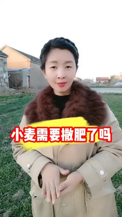 С��������Ҫ������ #С��ݪֲ #С����� #С������ #ũ�ʷ��� #������ũ