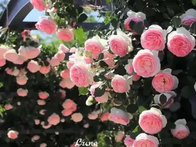 &ldquo;�����Ŀ�ľ��ﶼ�������� ϣ����һ��Ҫ���쿪�� ��Զ�Ҹ�û����Ӵ&rdquo;#�� #���ĵ����������� #��������