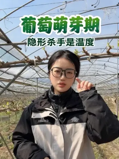 ������ѿ����Ҫע���������£�#����ݪֲ���� #�ִ�ũҵ���� #������ѿ�ڹ���