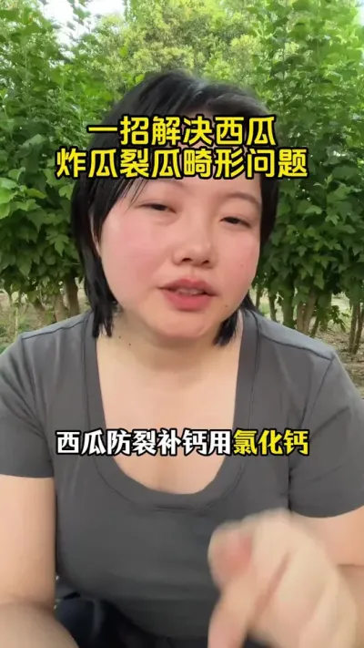 #���Ϲ���#���ϸ߲�#����ʩ��#����ݪֲ����#����ݪֲ