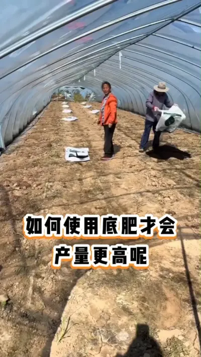 #����ݪֲ#���Ϲ���#�������ղ���Ӳԭ��#ݪֲС����#��������