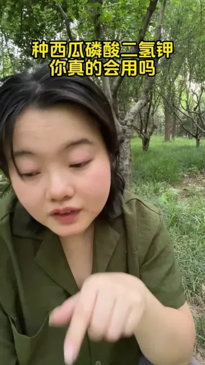 #西瓜种植 #西瓜管理#西瓜高产#西瓜施肥