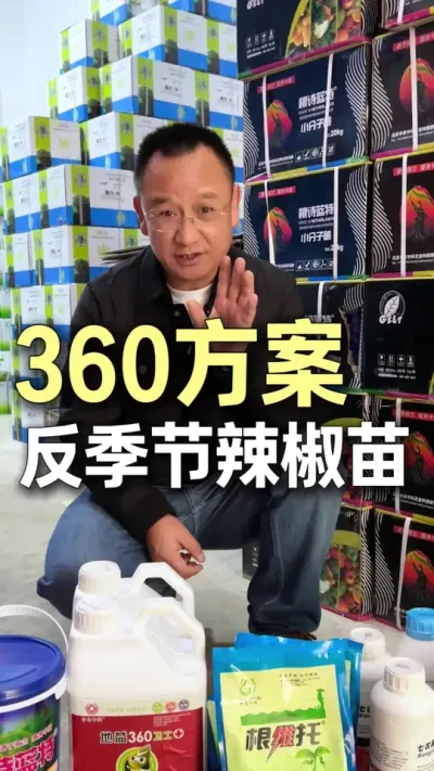 360�ƻ����ڷ����������ϵ�Ч����#ũҵ�����ƹ� #ݪֲС���� #��ũ #����  #��ũ����