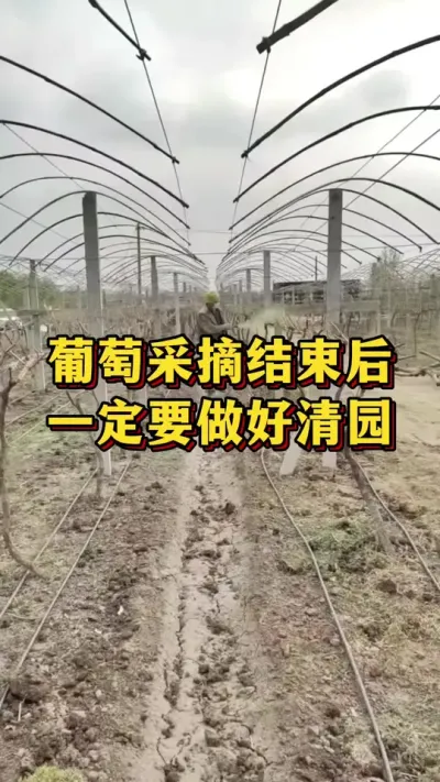 ���Ѳ�ժ����һ��Ҫ������԰#ũҵݪֲ #��ũ #����ũ��Ʒ