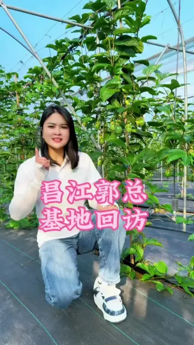 �������ܻ��ش�ȥ��ݪֲ�����������»��綼�����ǹ�˾��ˮ�ʹ����ƻ�������һ��֦��һ������һ��֦��һ������#�����ػ��� #��ũ #������ũ #�ҵ��������� #�����@����С���� @DOU+С����