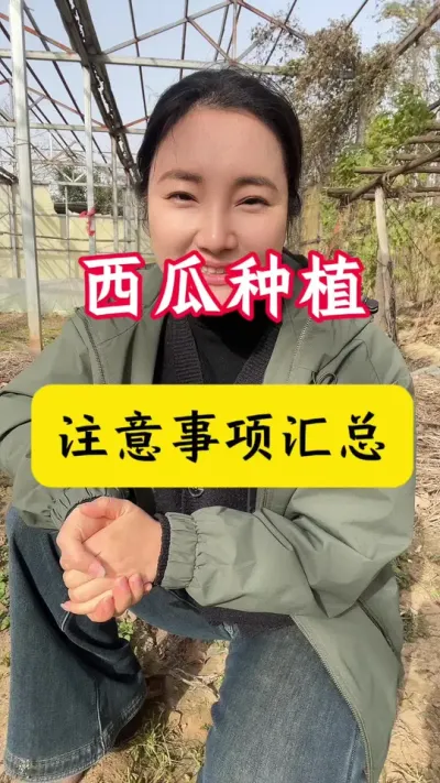 #����ݪֲ#���Ϲ���#����ݪֲ����#������#����