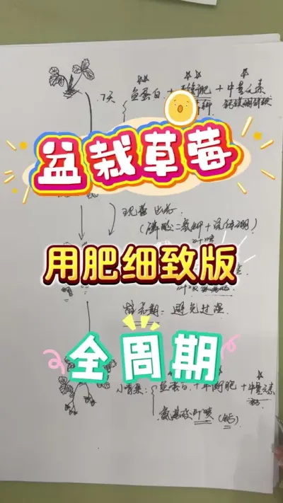 ���Բ�ݮȫ�����÷���ϸ2026��#���Բ�ݮ#�ֲ�ݮ  #��ݮ����#¥����԰ #������������